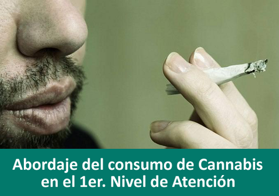 Abordaje del consumo de Cannabis en el 1er. Nivel de Atención