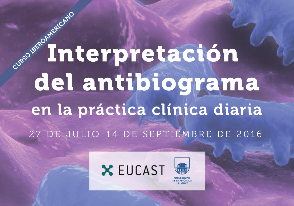 Interpretación del antibiograma en la práctica clínica diaria