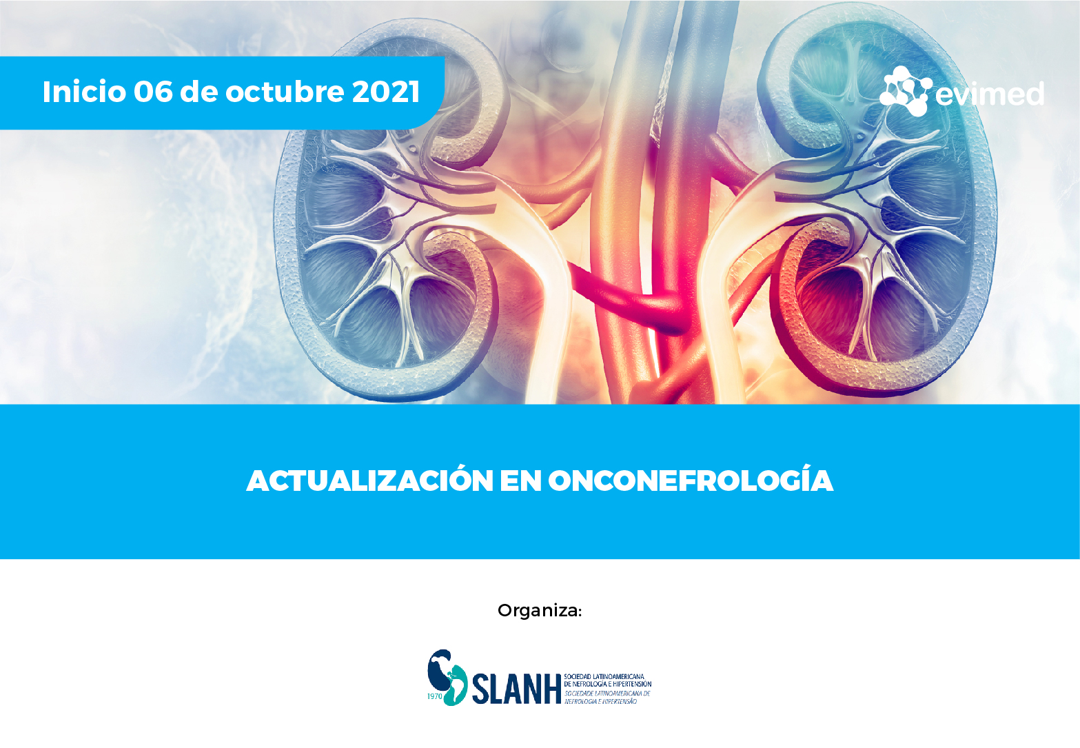 Actualización en onconefrología