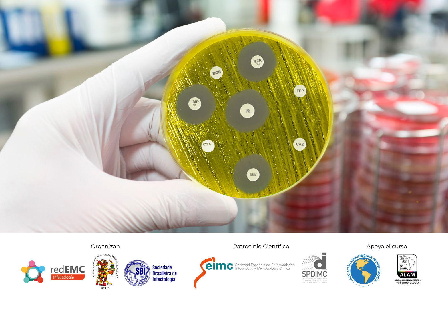 ANTIBIOGRAMA 2025: Bacterias y Hongos Prioritarios para OMS