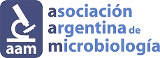 logo1_AAM