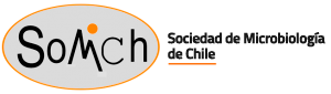 logo-somich-2